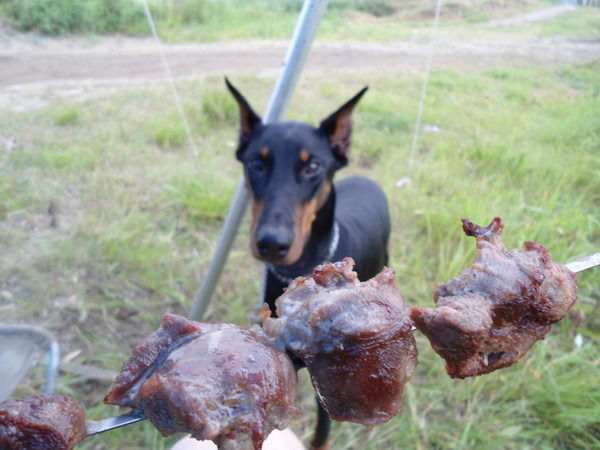 Андрей Левандовский