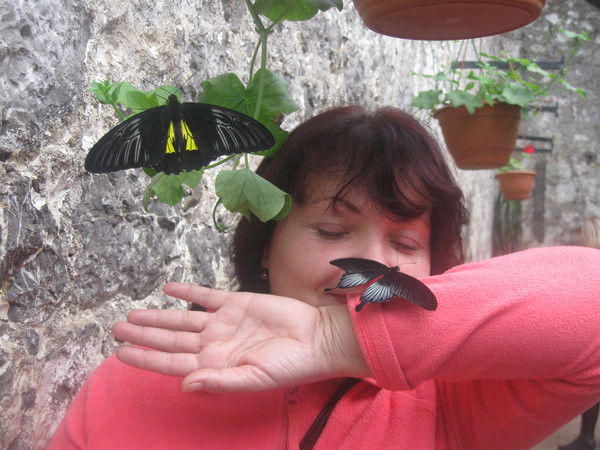 Cветлана Линева