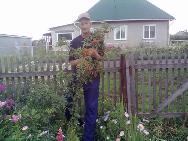 Надежда Прохорова