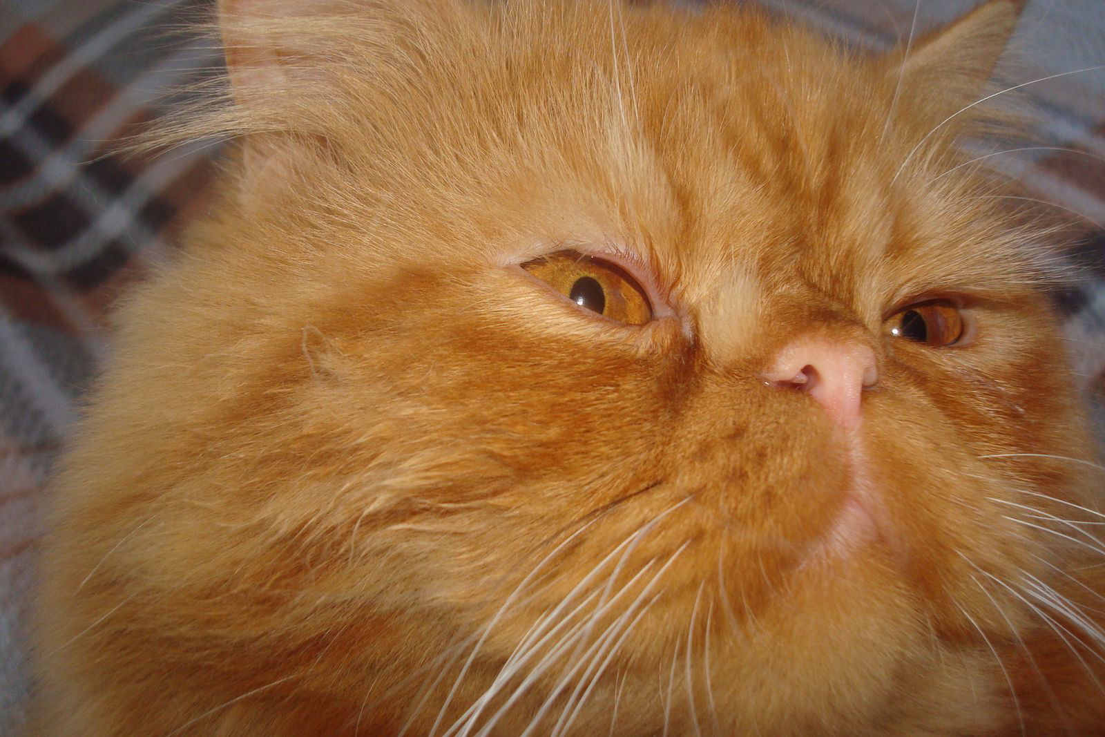 Денис Марцун