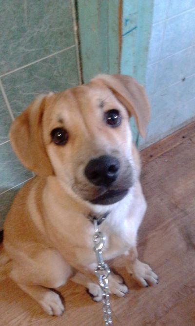 Карина Митина