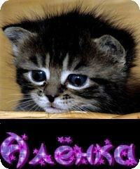 Алёна Петешова