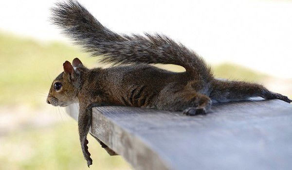 Юлия Кузьмина