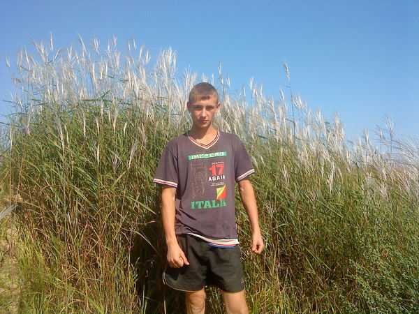 Денис Греков