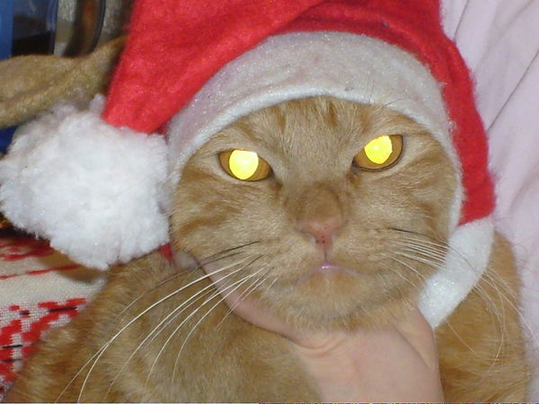 Ирина Гагарина