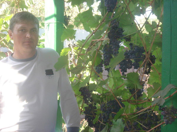 Сергей Балабин