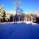 Valentin Masurov