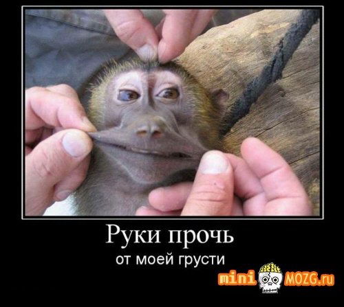 Данил Гаценко