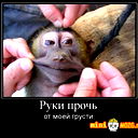 Данил Гаценко