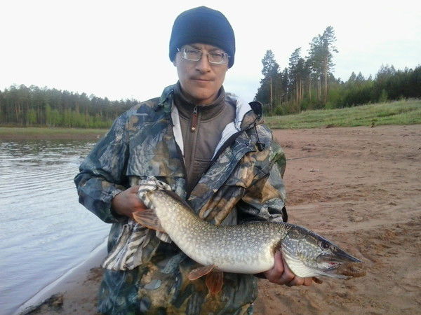 Дмитрий Цыцарев