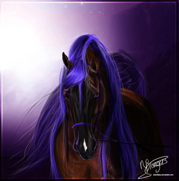 Богдана Борисюк