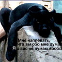 Давид Иванов