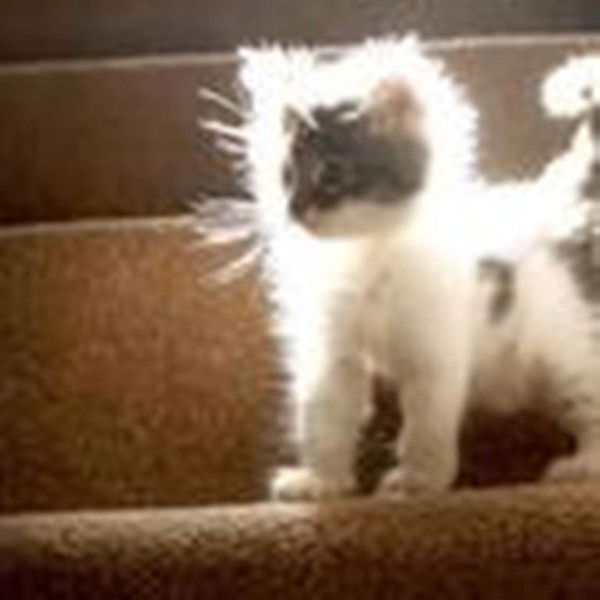 Пётр Егоров