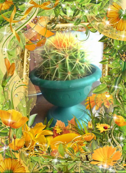 Карлыгаш Жакияева