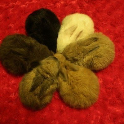 Юлия Иванищева