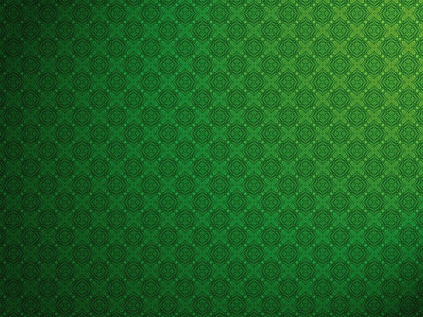 Полина Фруктова