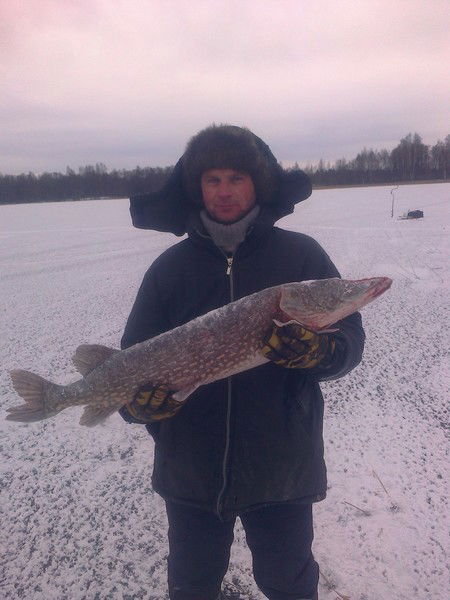 Андрей Борейко