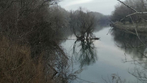 Ирина Зорина