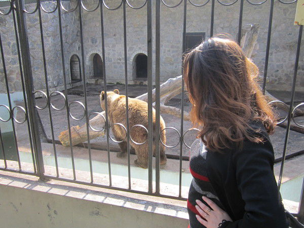 Натали Завалий