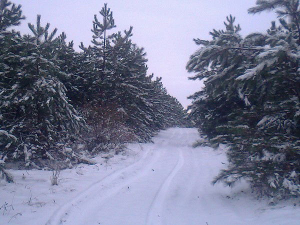 Юра Олейник