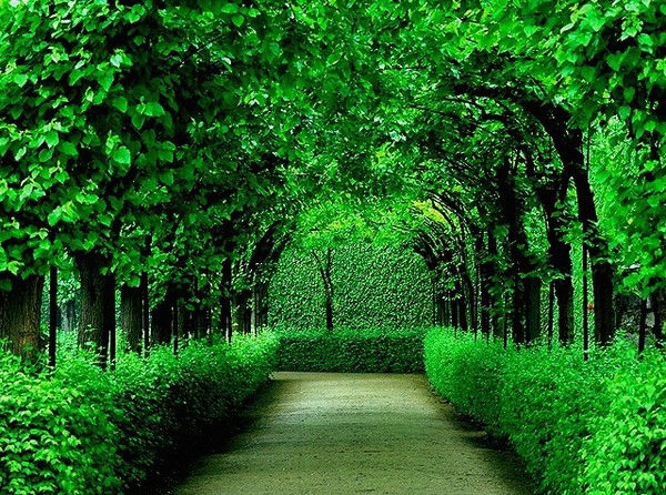 Неизвестно Неизвестно