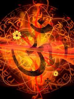 Елена Дойницына