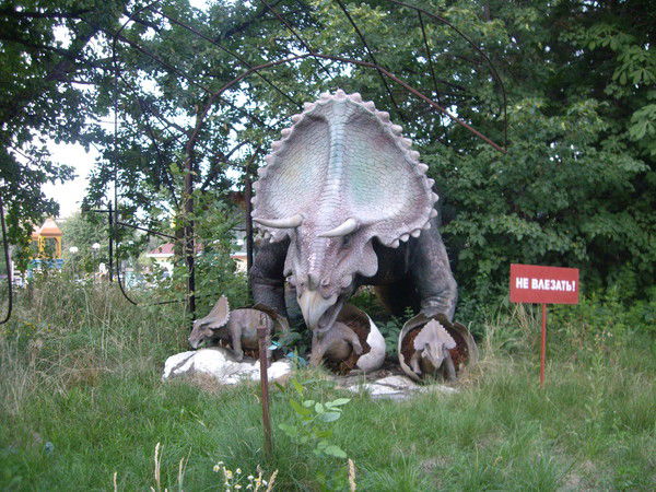 Олеся Шафикова