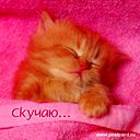 Нина Хабдю