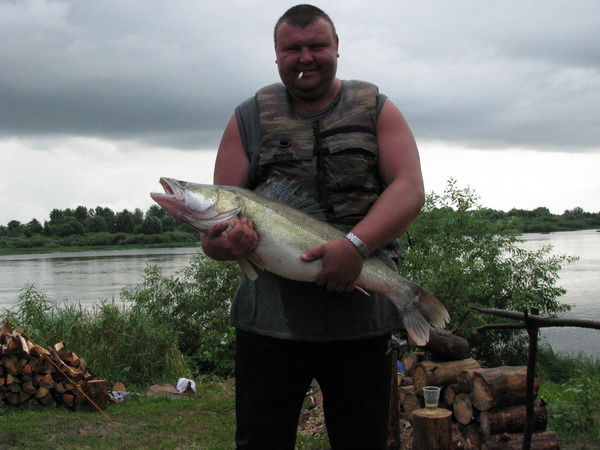 Александр Журавлев