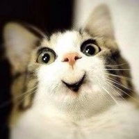 Кирилл Михайлов