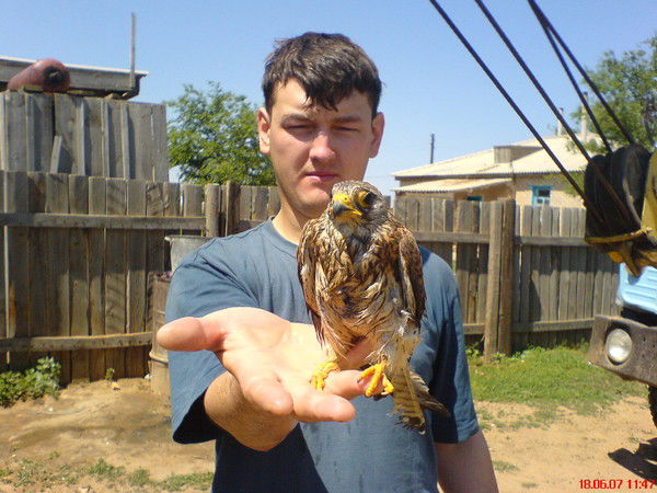 Олег Паламарчук