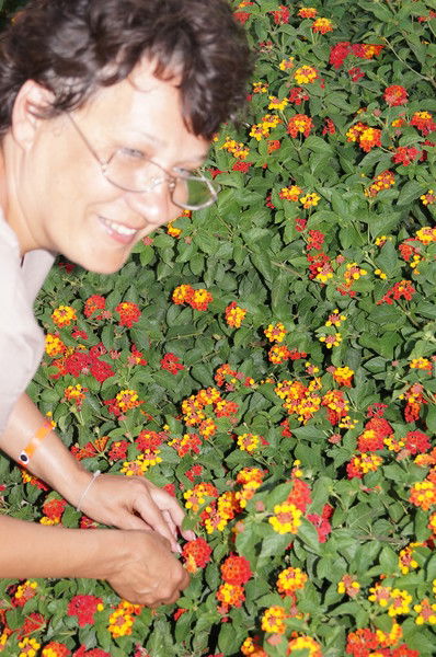 Наталья Березина