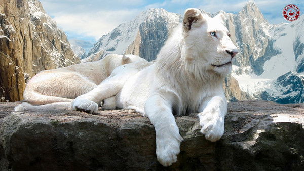 Лев Кабатов