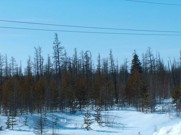 Андрей Хлыбов