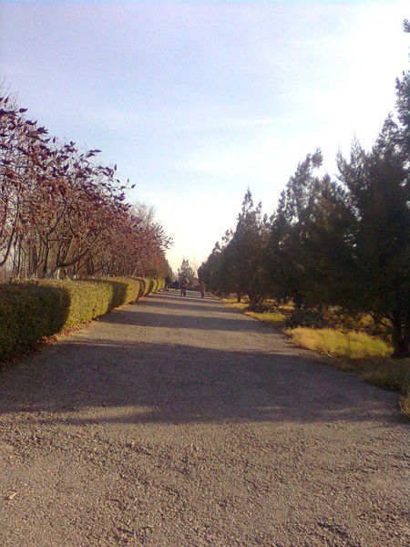 Сергей Соколков