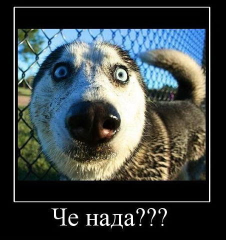 Екатерина Курлова