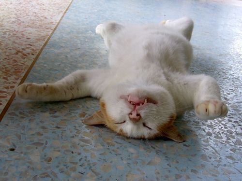 Ольга Краснова