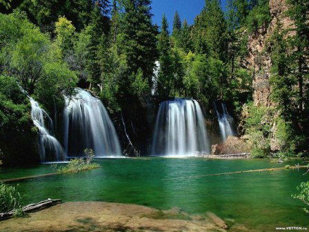 Алина Галата