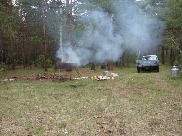 Любовь Плеханова