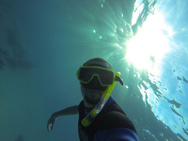 Виталий Плотников