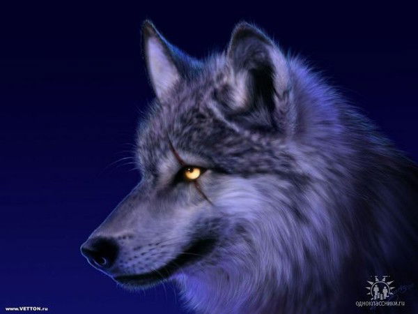 Алексей Тараканов