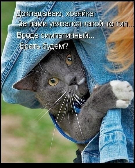 Рашан Хаджимуратова