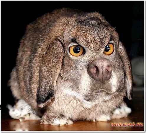 Надежда Грецкая