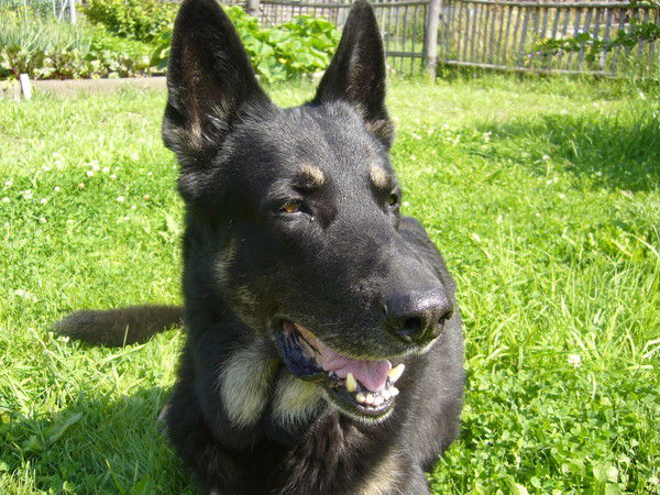 Елена Трофимова