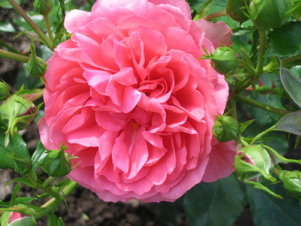 Марина Минина