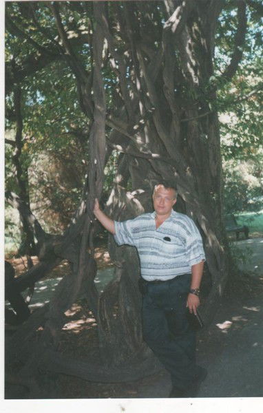 Андрей Огородников