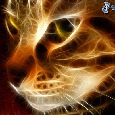 Эльдар Короглы