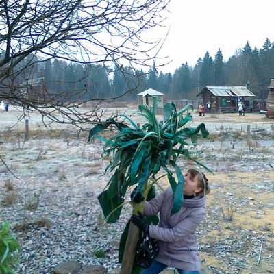 Катерина Балыкина