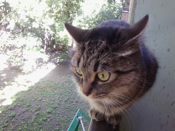 Татьяна Калинина