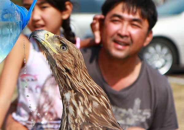 Дулат Асканов